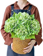 JINWOE 4PCS Real Touch Faux Hydrangea Flowers, 21" Green Latex Silk Flowers for Decoration,Vintage Fake Bouquet Flowers for Wedding Centerpieces Tables Party Outdoor Home Baby Showers by JINWOEArtificialFlowers