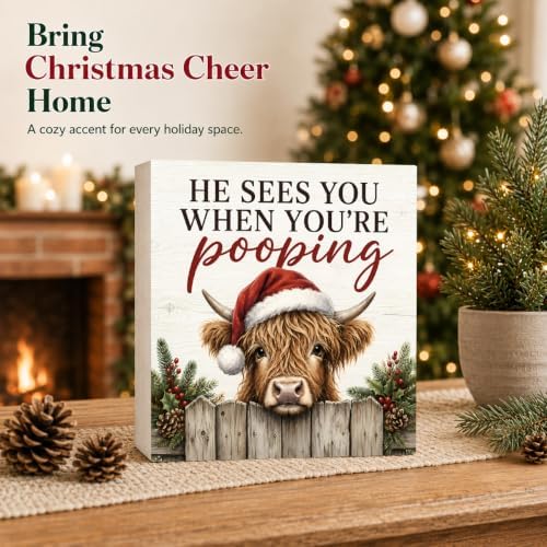Christmas Highland Cow Bathroom Decorations Funny Wooden Box Sign - Image 2