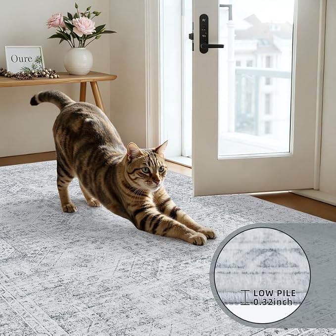 Round Area Rug Living Room: 8ft Neutral Washable Carpet Rug Gray | Vintage Boho - Image 6