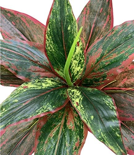CATTREE Fake Plants Artificial Plant Outdoor Shrubs Faux Grass Plastic Leaves Greenery Bushes Home Garden Wedding Party Decorations Indoor Office Yard UV Resistant Planter Filler Red 2 Pack - Image 5