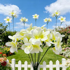 10pcs White Artificial Flowers Fake Plumeria Flower with Stems Silk Flower - Image 6