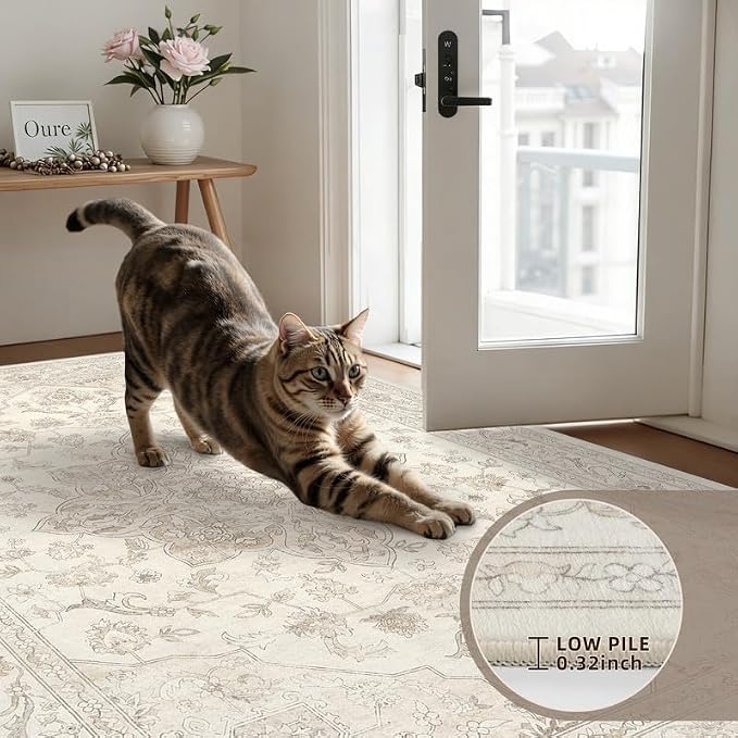 Washable Area Rugs 2x3: Living Room Bedroom Carpet Beige White | Vintage Boho - Image 6