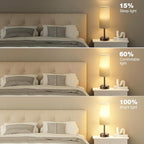 Fenmzee Brown Bedside Table Lamp - Image 4
