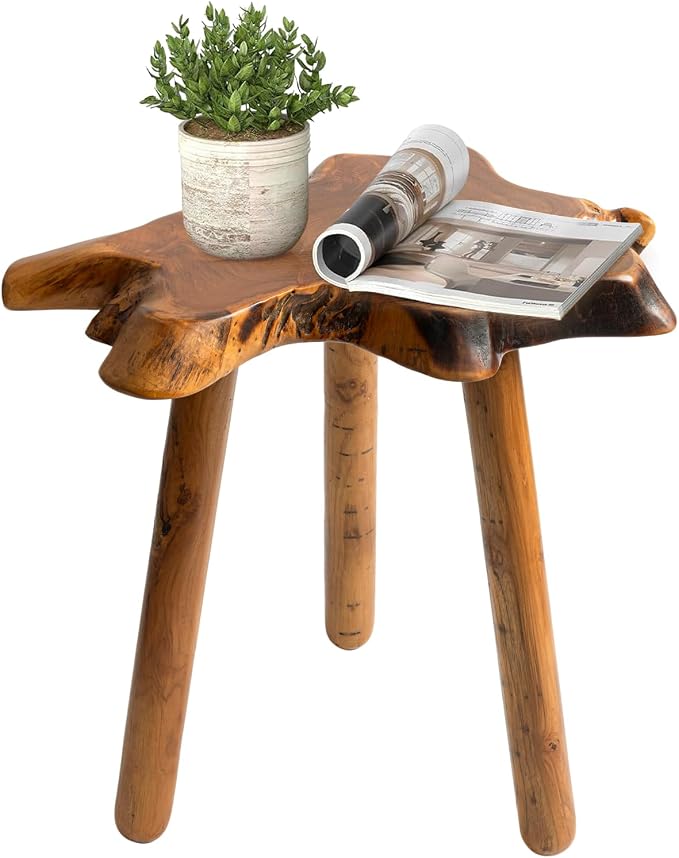Natural Teak Wood Live Edge Side Table by JOLLYMER