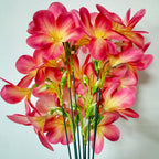 10pcs Pink Artificial Flowers Fake Plumeria with Stems,Silk Flower - Image 4