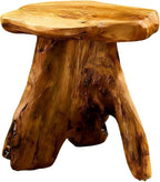 Greenage Cedar Roots Mushroom Accent Stool 12" x 15" x 13.5" Height Natural - Image 8
