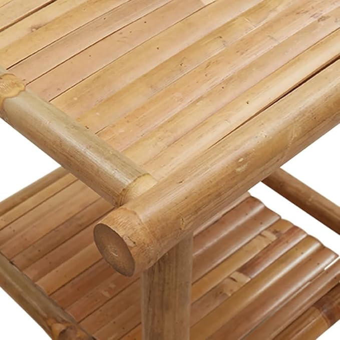 Bamboo Fiber Coffee Table with Storage Shelf, Eco-Friendly Modern Square End - Image 8