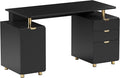 Elegant 57" W Executive Desk by TechniMobili