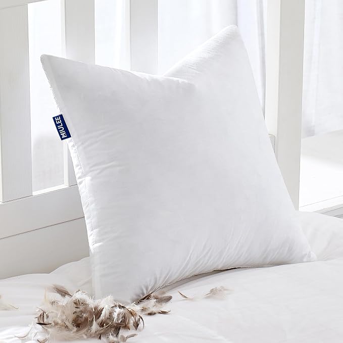 MIULEE Feather Pillow Insert 20x20, Throw Pillow by MIULEE