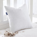 MIULEE Feather Euro Pillow Insert 30x30, Throw Pillow by MIULEE