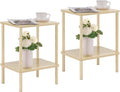 Apicizon 2 Tier End Table Set of 2, Small Side Table by APICIZON