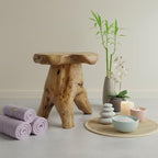 WELLAND Natural Cedar Stump Stool, Live Edge Side Table, Plant Stand, Small - Image 8