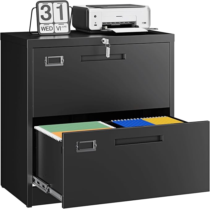 Letaya 2 Drawer File Cabinets by LetayaMetalCabinets