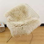 LLB Genuine Sheepskin Area Rug Wool Rug Fur Carpet Fluffy Shaggy Fur Rug - Image 3