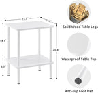 Apicizon 2 Tier End Table, Small Side Table - Image 3
