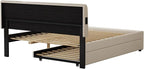 Queen Size Upholstered Platform Bed - Image 10