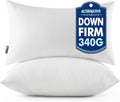 MIULEE 14x20 Throw Pillows Inserts 2 Pack, Decorative Pillows by MIULEE