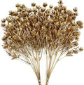 Gold Baby Breath Artificial Christmas Flowers, Plastic Gypsophila Plant Fake Plants for Wedding Bridal Bouquet Party Indoor DIY Home Hall Table Centerpieces Arrangements Decoration - Golden 2 Pcs by CATTREE