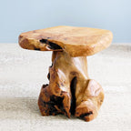 13.8" Cedar Stump Stool, Natural Wooden Side Table, Plant Stool, Live Edge - Image 8