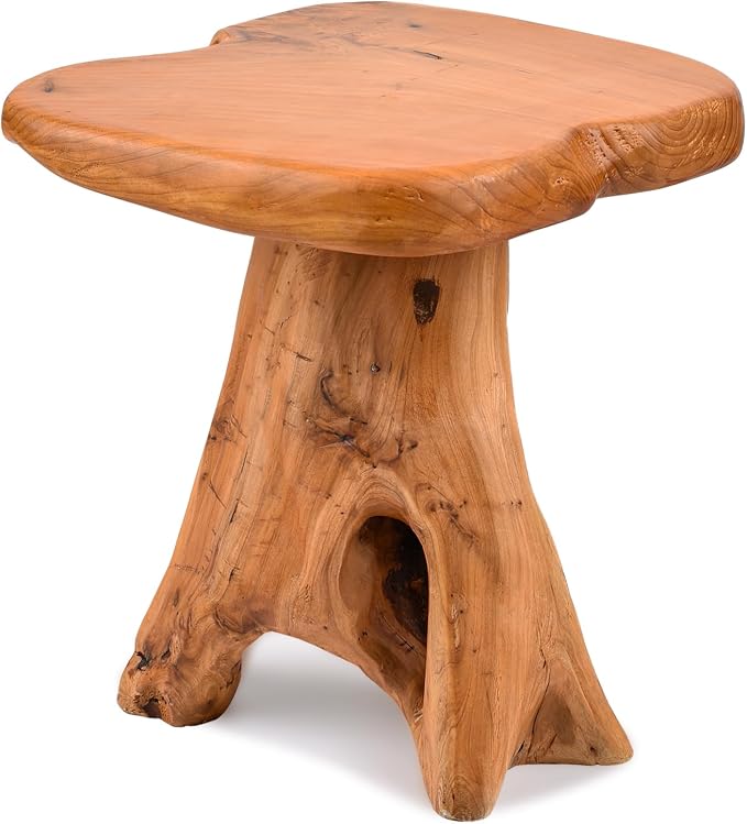 Small Side Table, Freeform Live Edge Wood Stool, Unique Design Natural Plant - Image 7