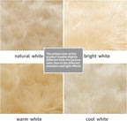 SERISSA 3x5 Fluffy Beige Faux Fur Area Rug - Image 6