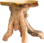 WELLAND Natural Tree Stump Stool, Live Edge End Table, Natural Edge Accent Table - Image 5