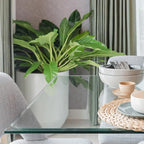 Dulles Glass 60 inch Square Glass Table Top - Image 7
