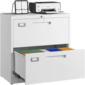 Letaya 2 Drawer File Cabinets by LetayaMetalCabinets