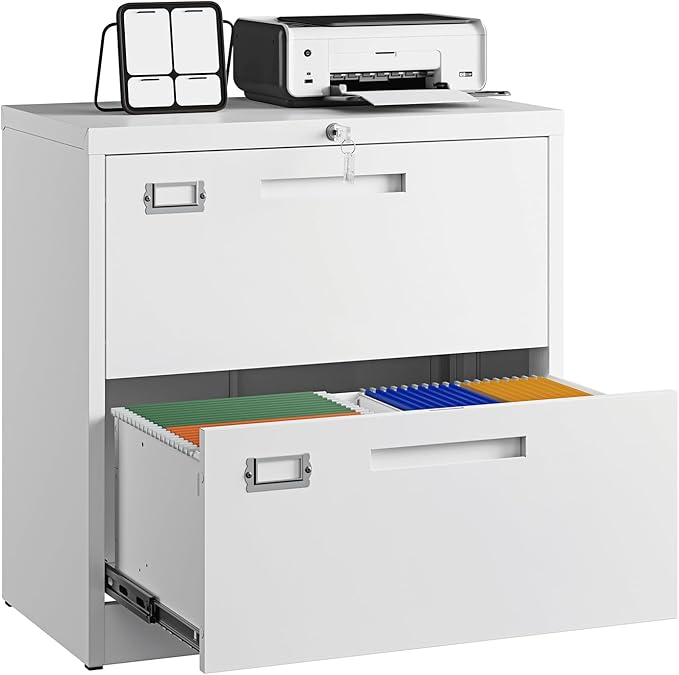 Letaya 2 Drawer File Cabinets by LetayaMetalCabinets