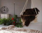 HUAHOO Premium Genuine Sheepskin Rug Brown Real Australia Sheepskin Natural - Image 7