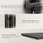 AX WABER Universal Floor TV Stand - Image 6