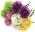 CATTREE Artificial Dandelion Flowers 5 Color x 2pcs Purple Pink White Green Yellow - Total 10 Pcs. Plastic Plants Shrubs Bushes Fake Grass Wedding Indoor Outdoor Home Garden Decoration Planter Filler by CATTREE
