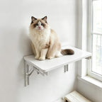 Folding Shelf Wall Mounted for Small Space, Home Office Floating Fold Down Desk - Image 2