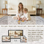 10x12 Area Rugs Living Room: Bedroom Washable Carpet Beige & Grey | Large - Image 5