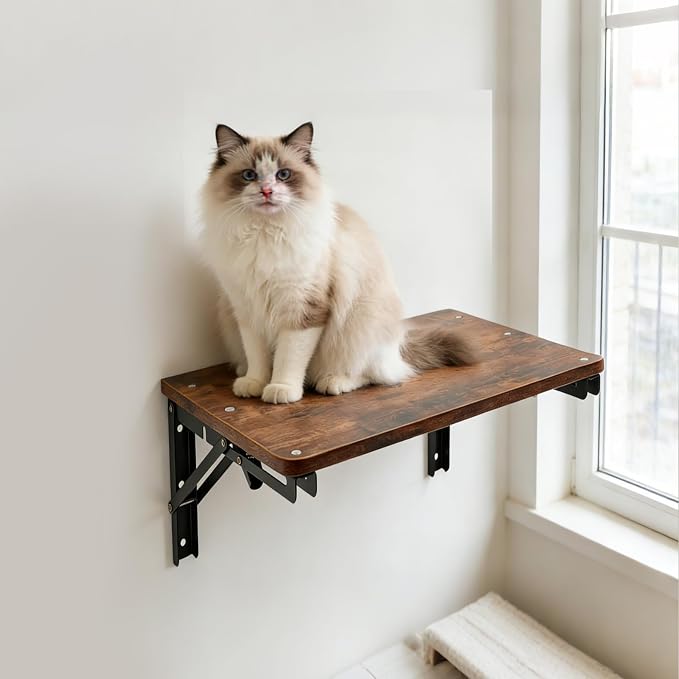 Wooden Folding Shelf Wall Mounted - Image 2