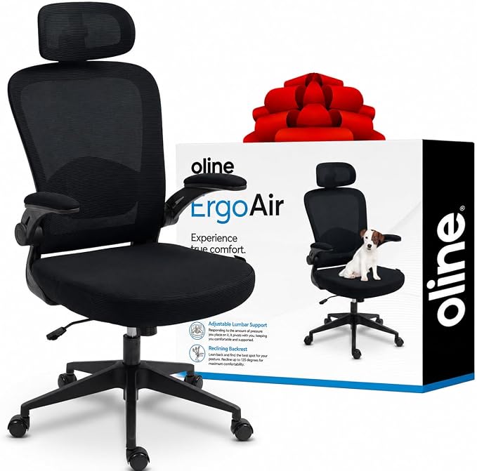 Oline ErgoAir Ergonomic Office Chair – Adjustable Lumbar Support, Flip-Up by Oline
