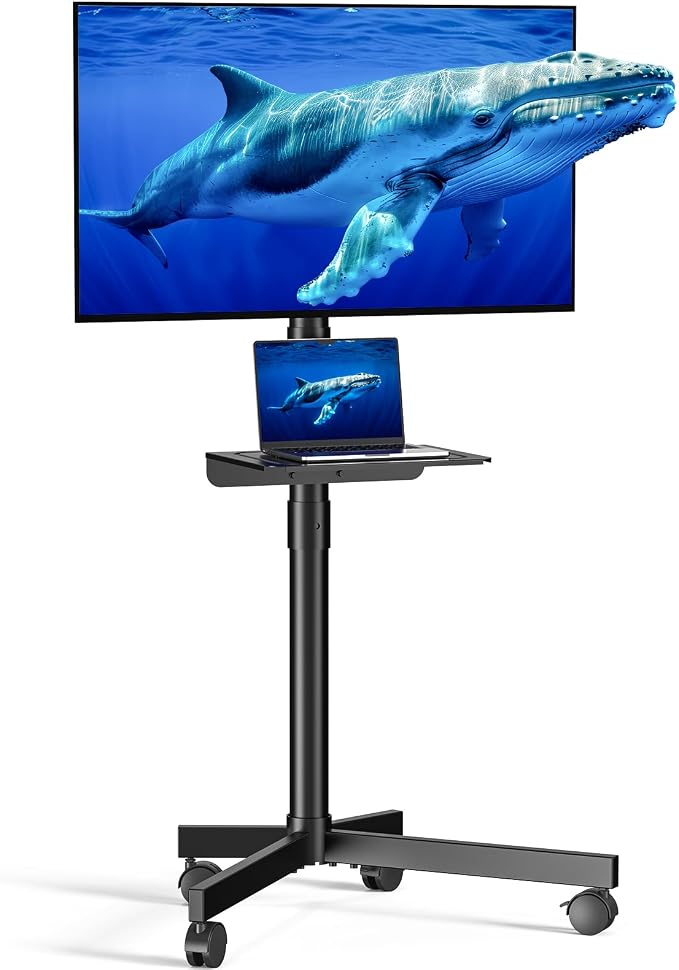Mobile TV Cart for 23-60 Inch LCD LED OLED Flat Curved Screen TVs by XyndyxErgonomicDesign