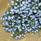 Olrla Blue Artificial Baby Breath Flowers 10pcs for for Wedding Decor - Image 3