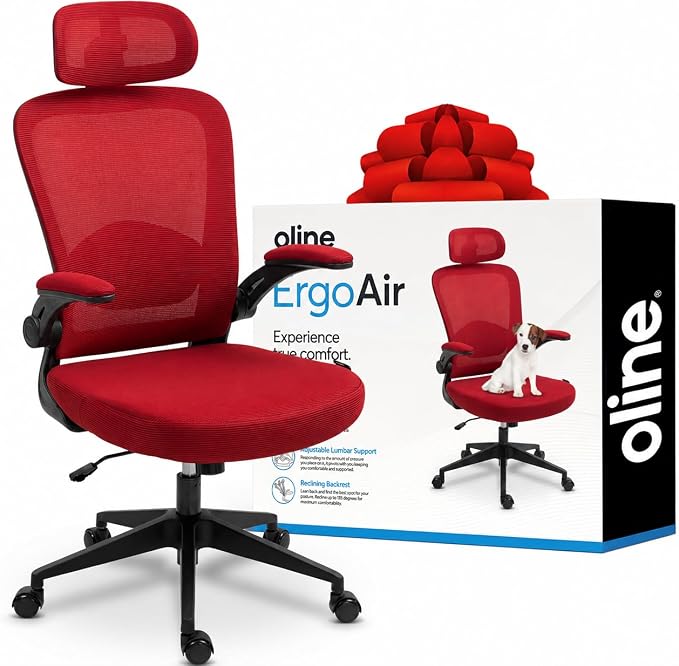 Oline ErgoAir Ergonomic Office Chair – Adjustable Lumbar Support, Flip-Up by Oline
