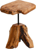 Natural Edge Cedar Stump Side Table by JOLLYMER