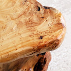 13.8" Cedar Stump Stool, Natural Wooden Side Table, Plant Stool, Live Edge - Image 7