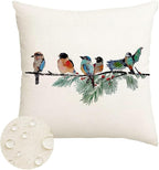 RABUSOFA Christmas Outdoor Pillow Covers Waterproof 18x18 Inch Birds Christmas by RABUSOFA
