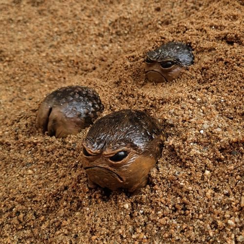 MOLMH Weird Queer Grumpy Frog Toad Statue Ugly Angry Outdoor Garden Yard Decor Statue Fun Novelty Home Office Decor Sculpture Unique Gift - Image 5
