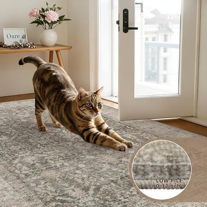 5x7 Area Rugs Living Room: Bedroom Washable Carpet Warm Taupe | Large Vintage - Image 7