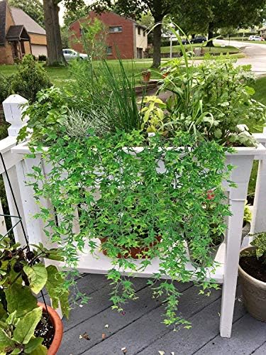 Artificial Hanging Vine, Sweet Potato Leaves Plastic Plants Greenery Faux Ivy Garland Fake Plant UV Resistant for Indoor Outdoor Garden Door Wall Baskets Wedding Party Table Decoration Green 4 Pcs - Image 3