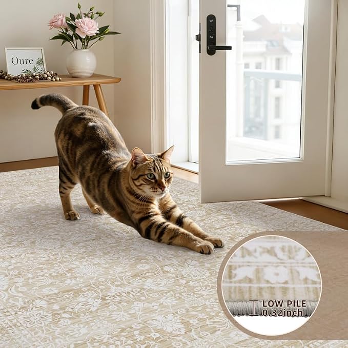 5x7 Area Rugs Living Room: Bedroom Washable Carpet Natural Beige | Large - Image 7