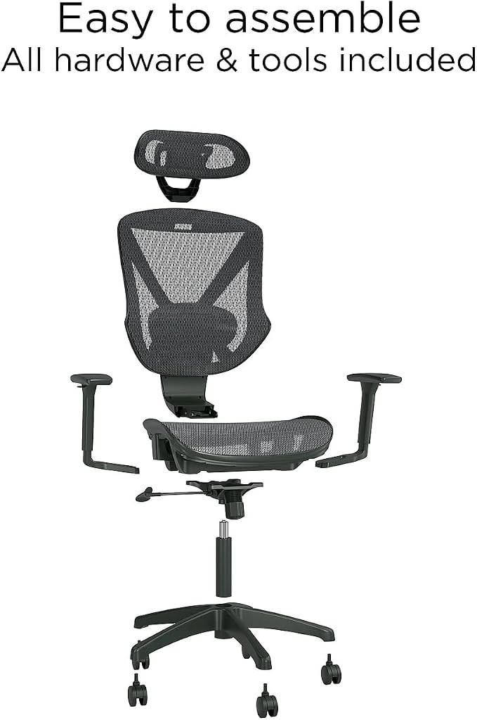 Staples Dexley Ergonomic Task Chair, Lumbar Support, Adjustable Height - Image 7