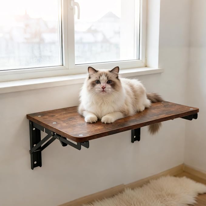 Wooden Folding Shelf Wall Mounted - Image 8