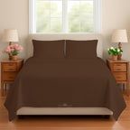 Sleeper Sofa Bed Sheet, 100% Cotton 400 Thread Count, 4 Piece Set, Deep Pocket by BeyondWhatYouSee