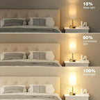 Fenmzee Gold Touch Lamp for Bedroom- 3 Way Dimmable Bedside Lamp USB C A - Image 2